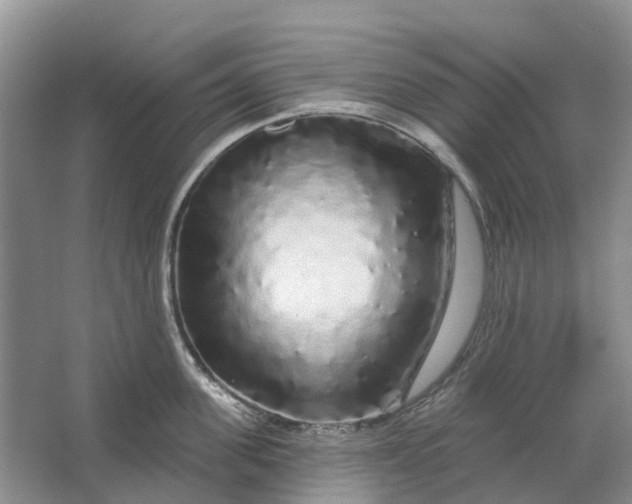 X0000064720955200602241634