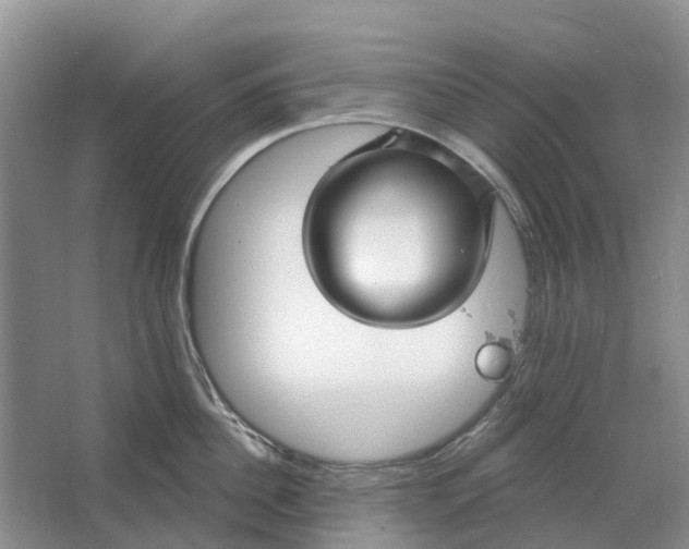 X0000064720956200602241634