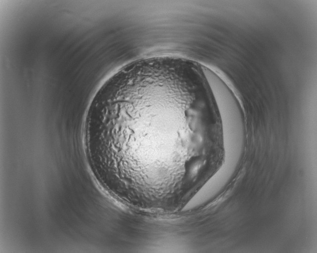 X0000064720957200602241634