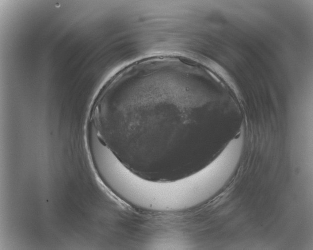 X0000064720958200602241634