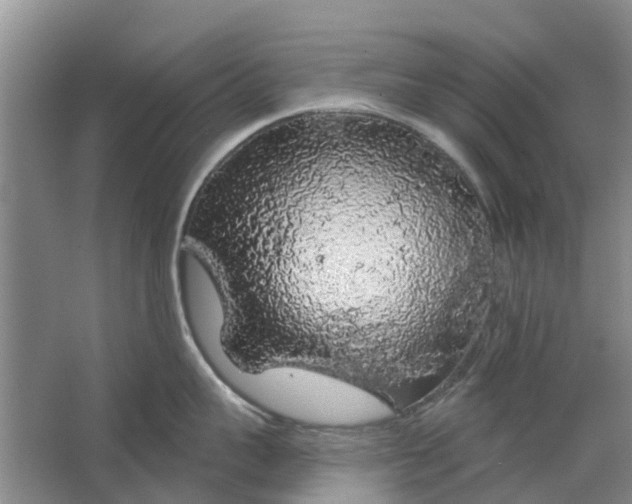 X0000064720959200602241634