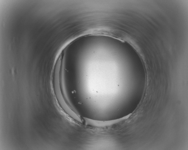 X0000064720960200602241634