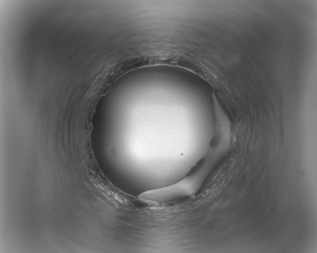 X0000064720961200602241633