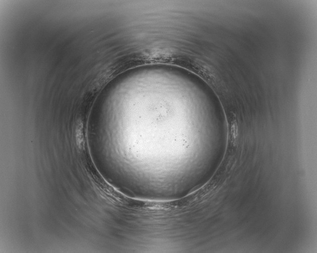 X0000064720963200602241633