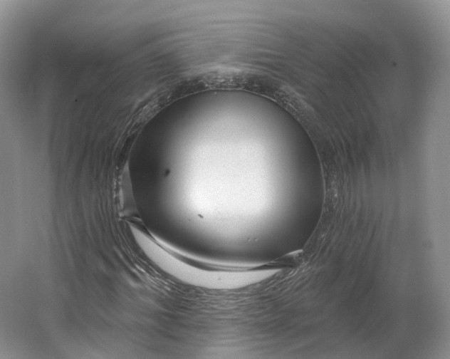 X0000064720964200602241633