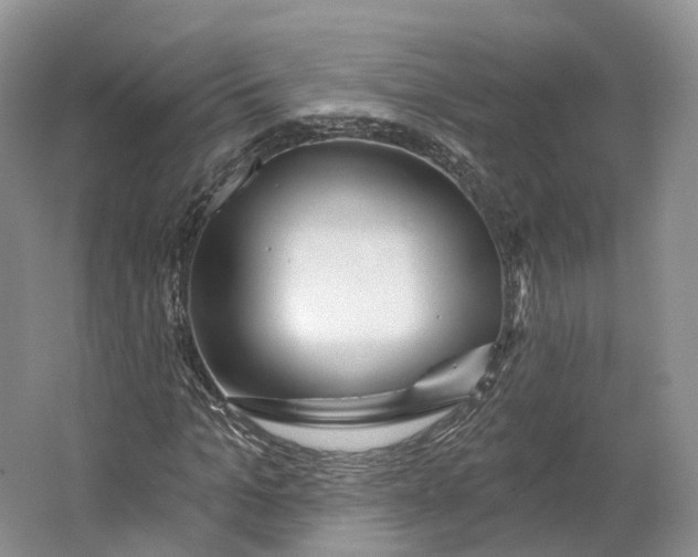 X0000064720965200602241633