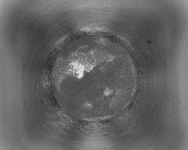 X0000064720966200602241633