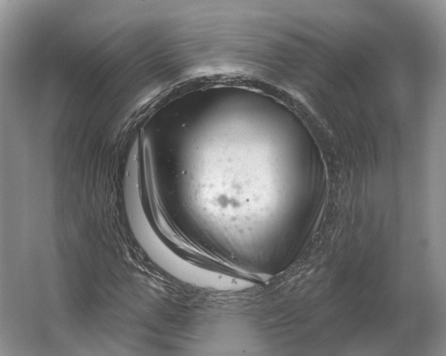 X0000064720967200602241633