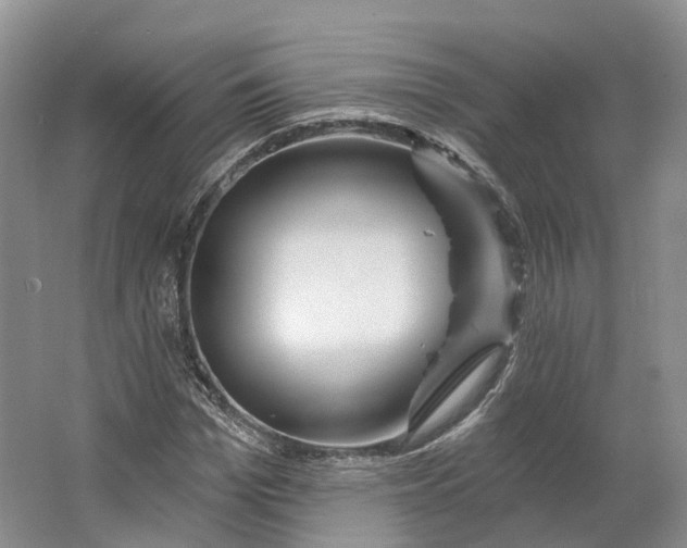 X0000064720969200602241633