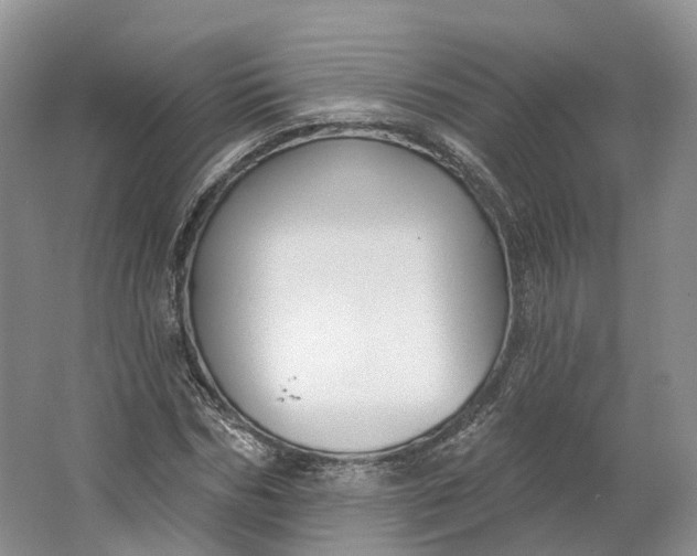 X0000064720970200602241633