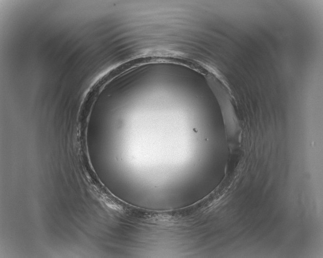 X0000064720971200602241633