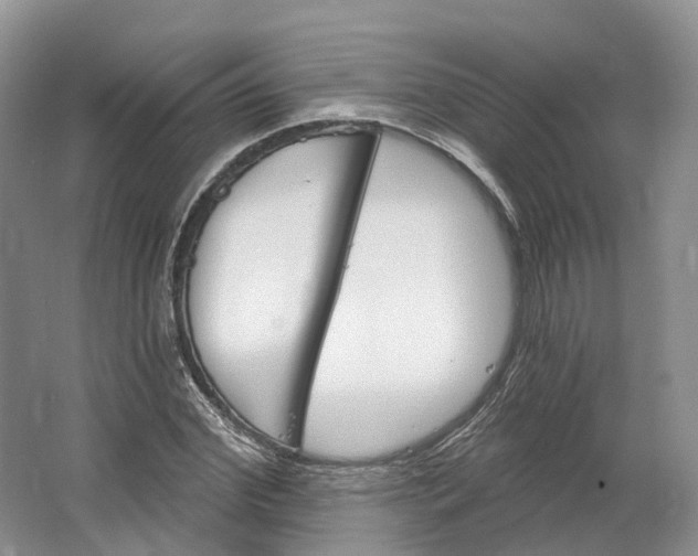 X0000064720972200602241633