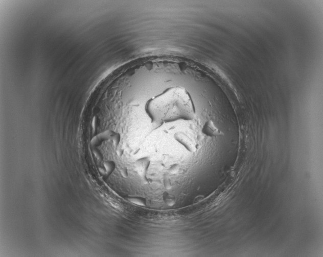 X0000064720975200602241633