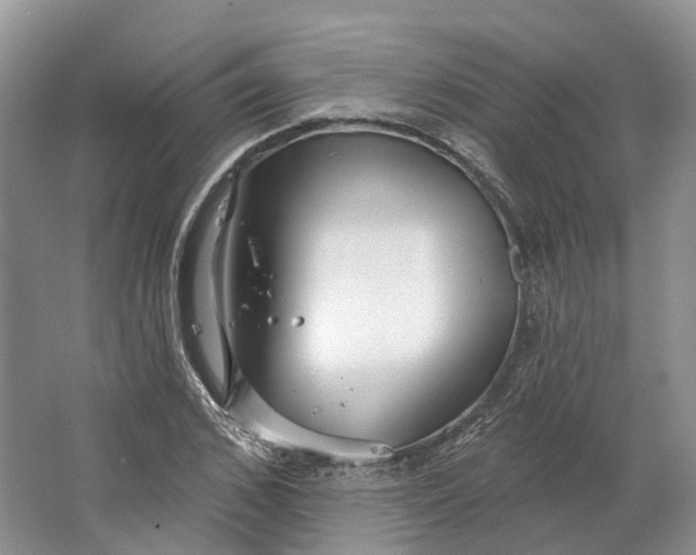 X0000064720976200602241633