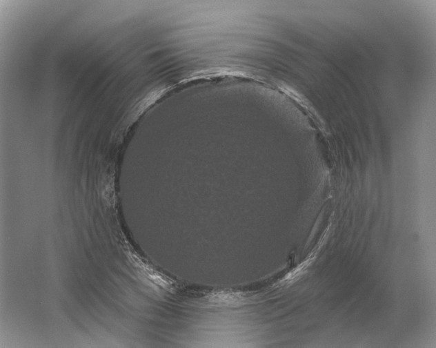 X0000064720977200602241633