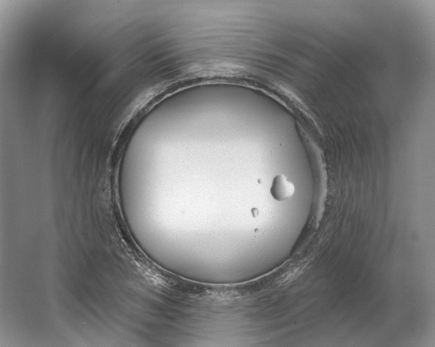 X0000064720978200602241633