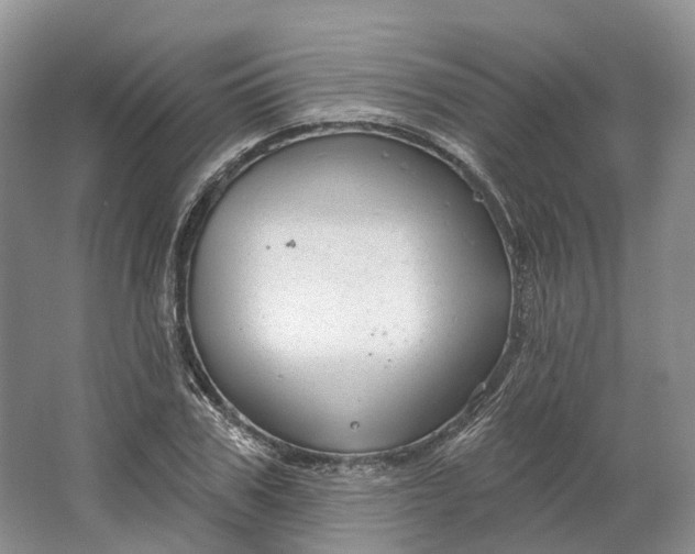 X0000064720979200602241633