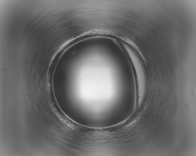 X0000064720981200602241633