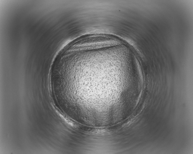 X0000064720982200602241633