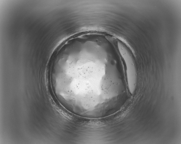 X0000064720983200602241632