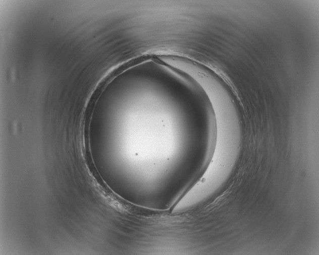 X0000064720984200602241632