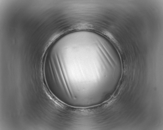 X0000064720986200602241632