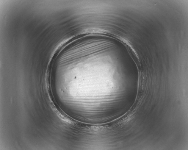 X0000064720987200602241632