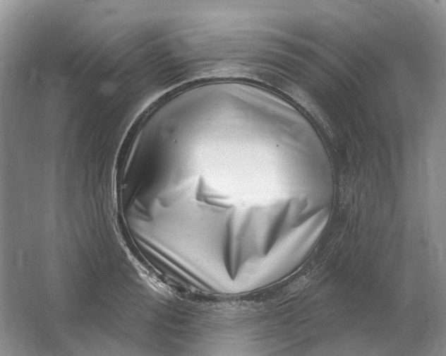 X0000064720988200602241632