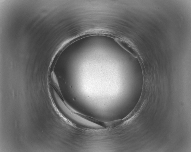 X0000064720989200602241632