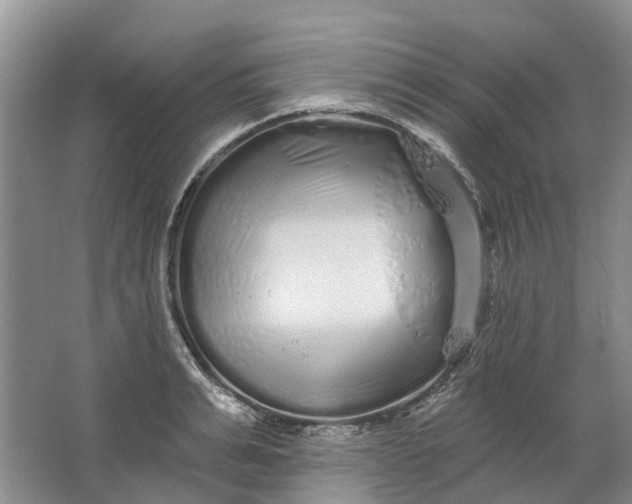 X0000064720991200602241632