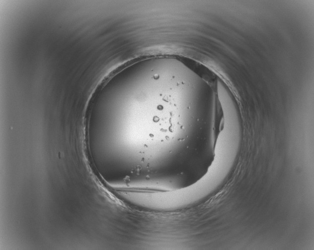 X0000064720992200602241632