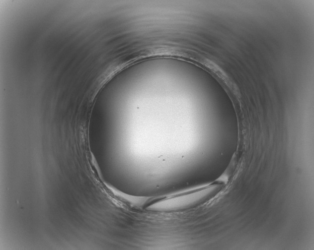 X0000064720993200602241632