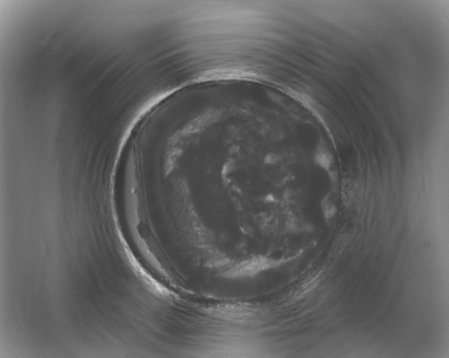 X0000064720995200602241632