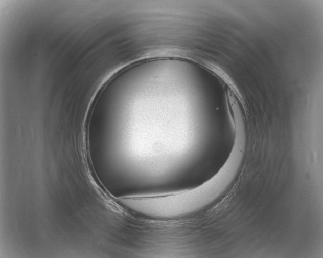 X0000064720996200602241632