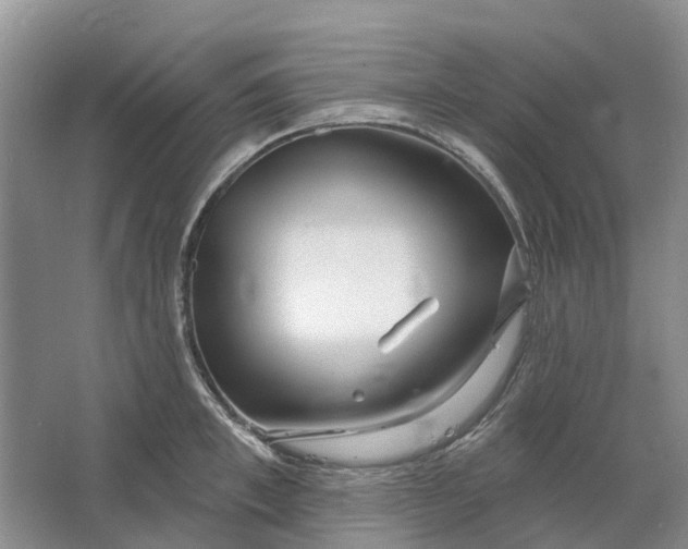 X0000064720997200602241632