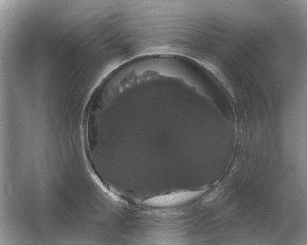 X0000064720998200602241632