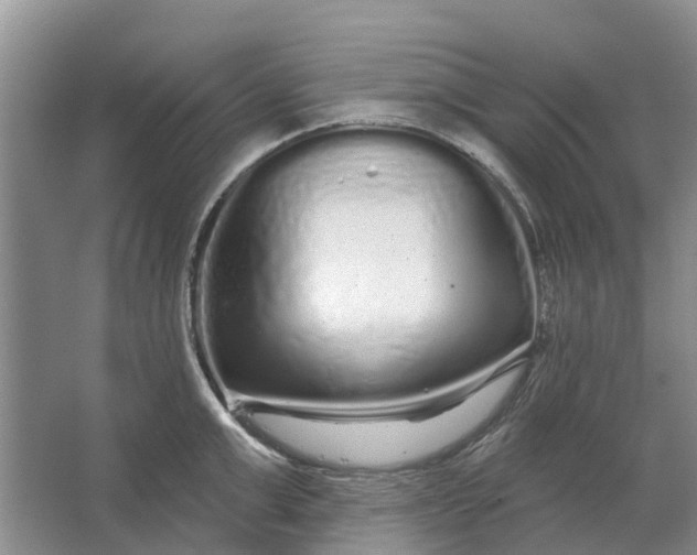 X0000064720999200602241632