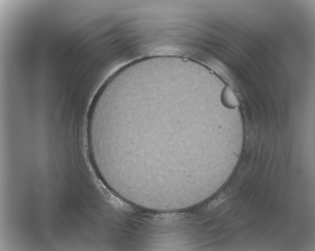 X0000064721000200602241632