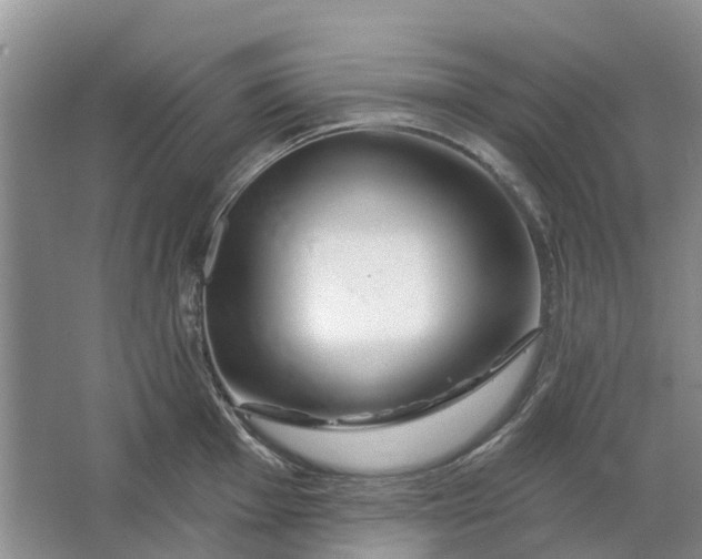 X0000064721001200602241632