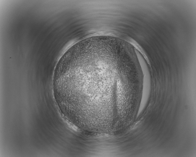 X0000064721002200602241632