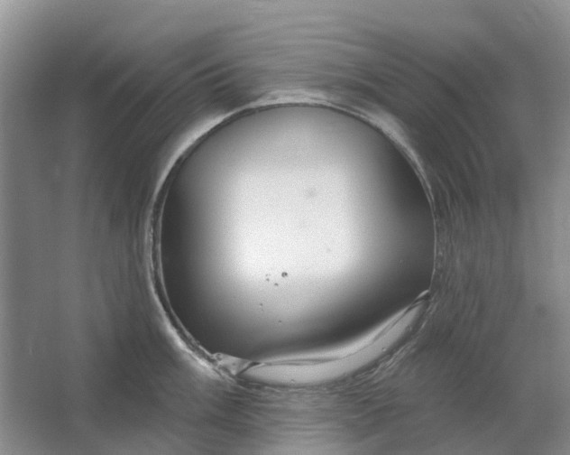 X0000064721003200602241632