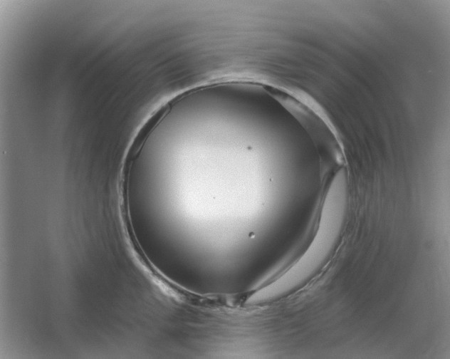 X0000064721005200602241632