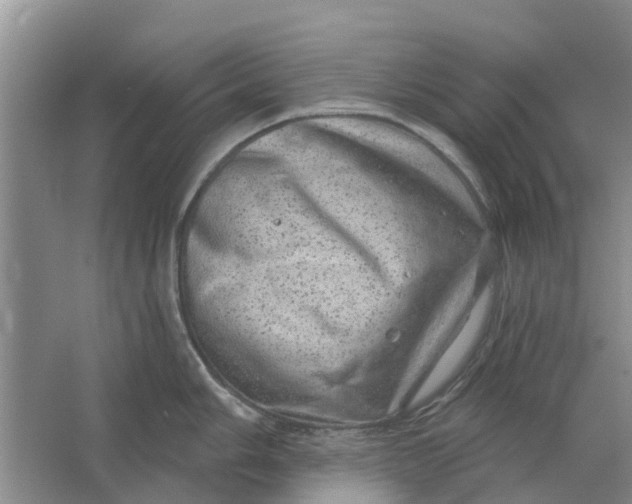 X0000064721006200602241632