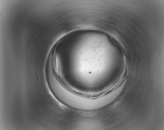 X0000064721007200602241632