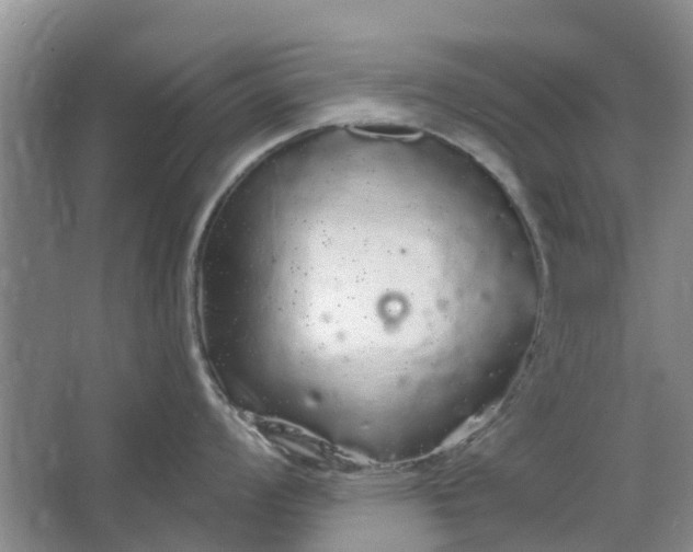 X0000064721008200602241632