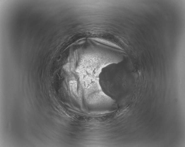 X0000064721009200602241631