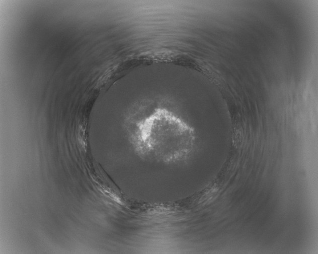 X0000064721010200602241631