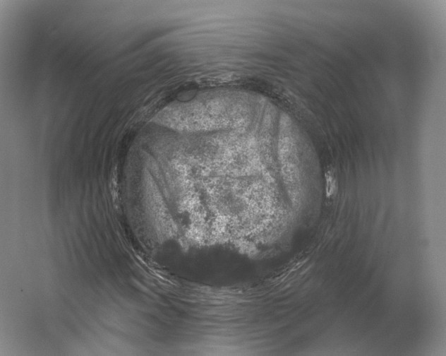 X0000064721011200602241631