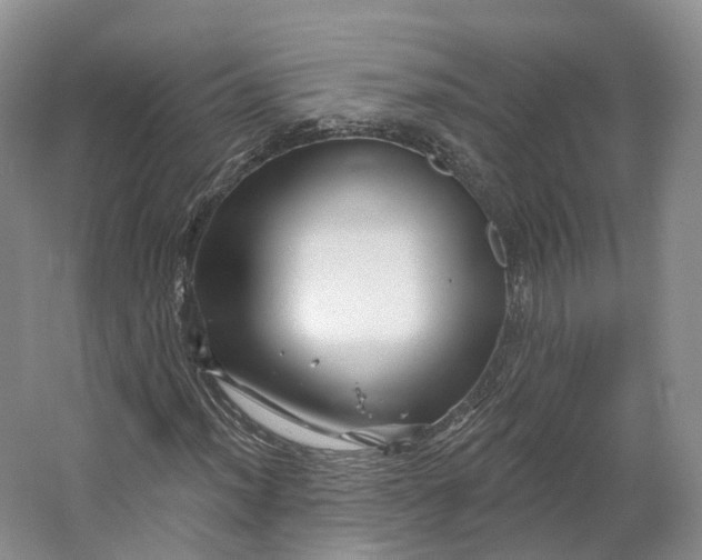 X0000064721012200602241631