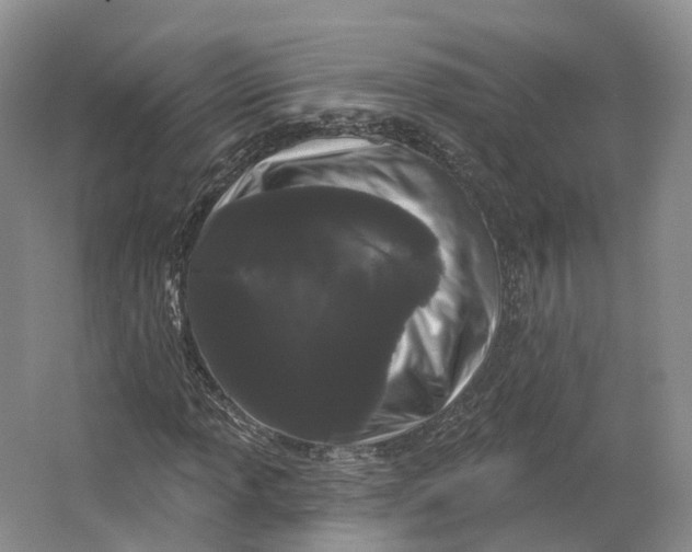 X0000064721013200602241631